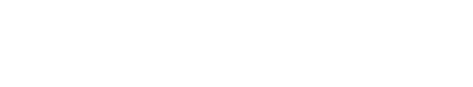 変化に進化で応える